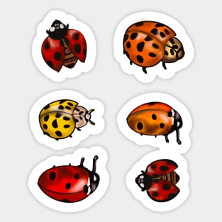 Red, orange and yellow ladybugs -A group of lady bugs is called a loveliness - purple background Sticker